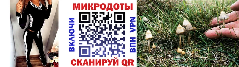 Псилоцибиновые грибы мухоморы  Починок 